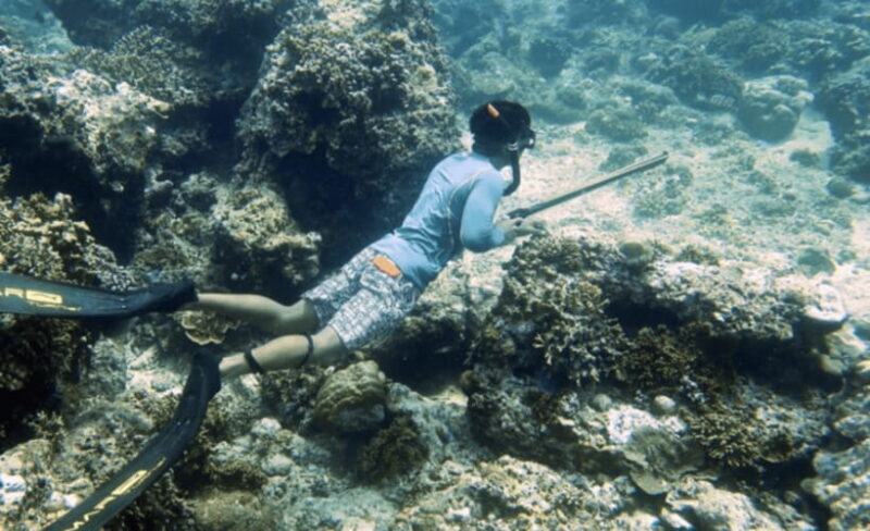 Gili Trawangan : Spearfishing with Catch & Cook Experience - The Sum Up: Who Is It Best For?