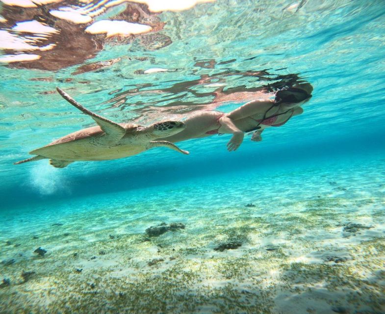 Gili Trawangan Swimming With Turtle & Underwater Statue - Tour Highlights