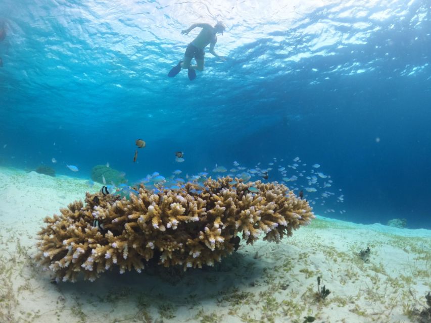 Gili Trawangan Swimming With Turtle & Underwater Statue - Important Guidelines