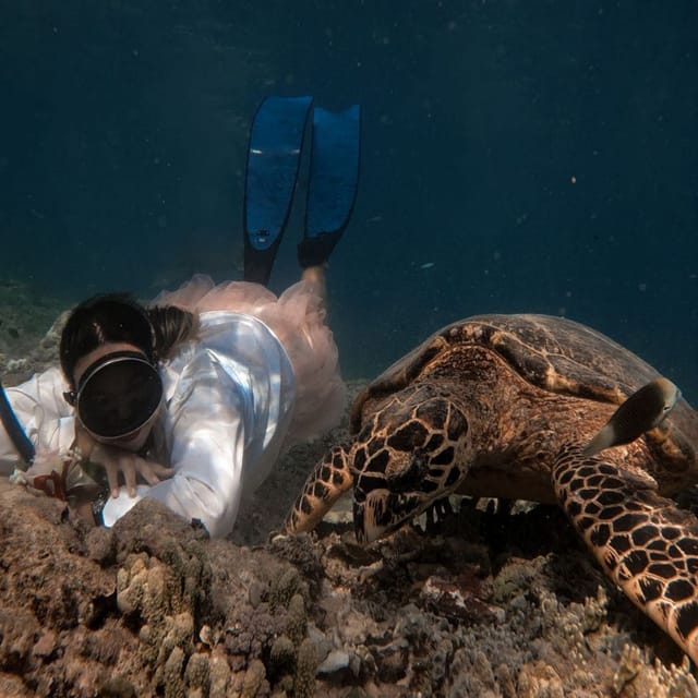 Gilitrawangan:Private Tour 3 Spot: Statue,Coral Reef,Turtle - Starting Locations and Activities