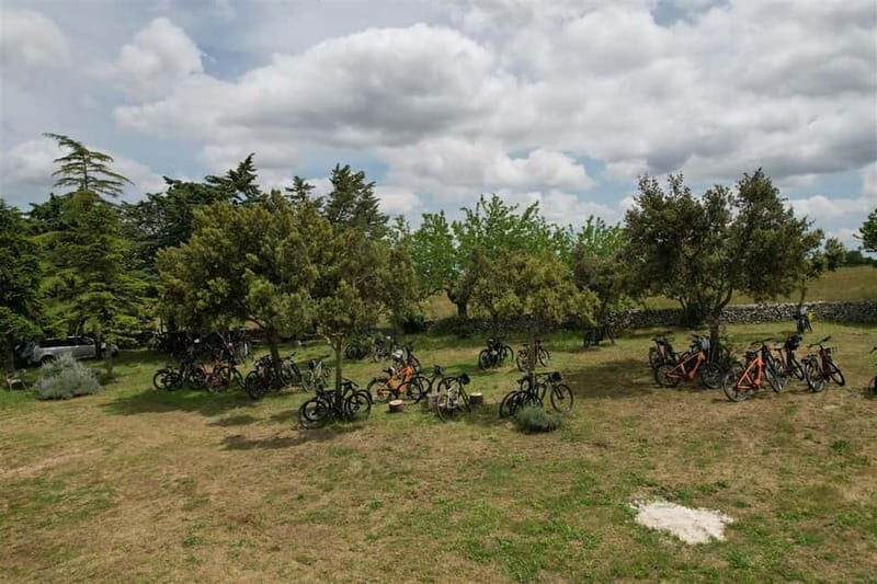 Gioia del Colle: E-Bike Tour through Vineyards & Wine - Key Points