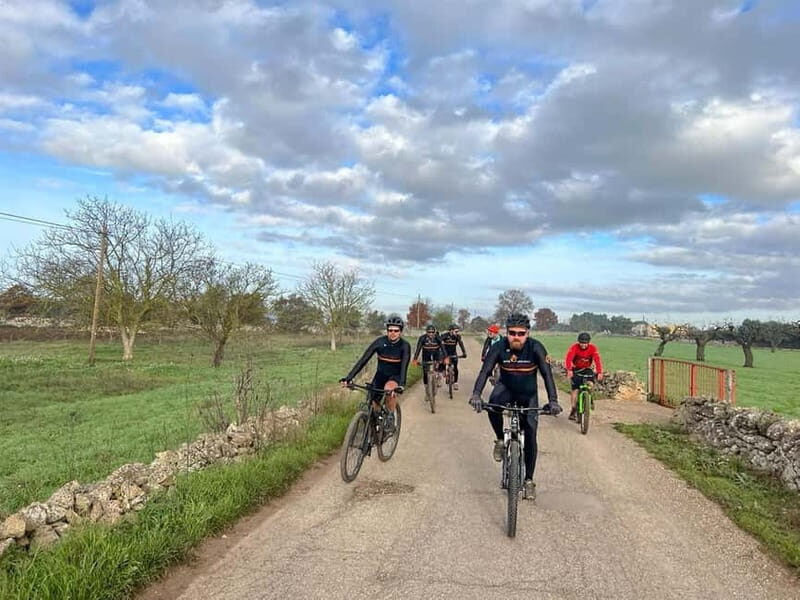 Gioia del Colle: E-Bike Tour through Vineyards & Wine - Final Thoughts