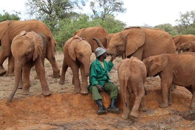 Giraffe Center, Elephant Orphanage, Beads Center & Bomas of Kenya Tour Nairobi - Booking Your Tour