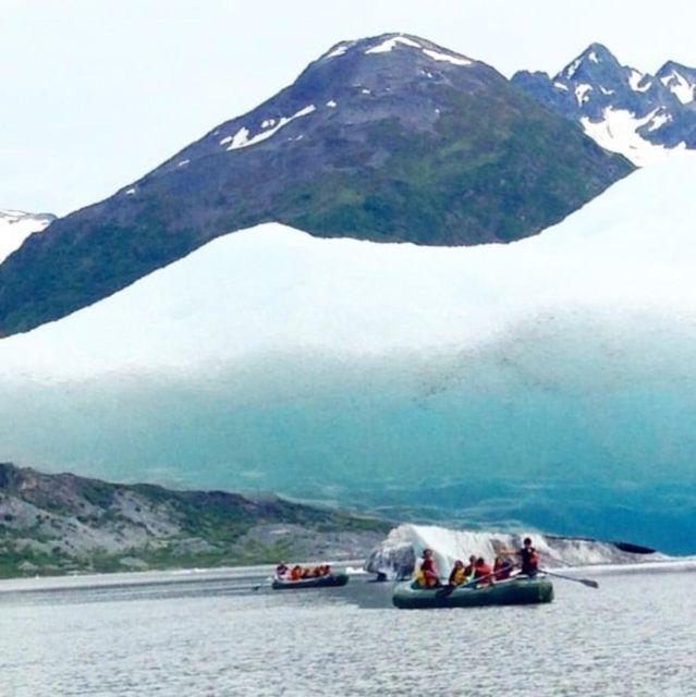 Girdwood: Bears, Trains, & Icebergs Tour - Key Points