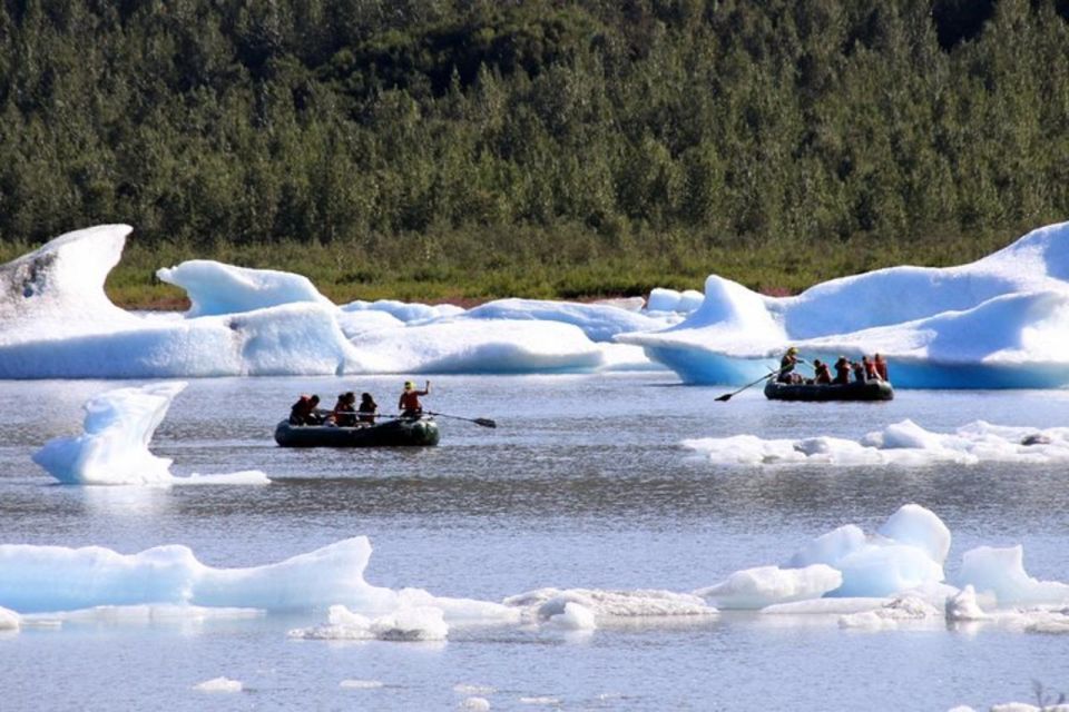 Girdwood: Bears, Trains, & Icebergs Tour - Alaska Wildlife Conservation Center