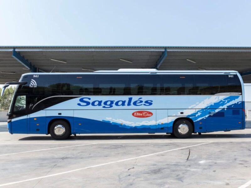 Girona: Girona Airport Bus Transfer From/To Barcelona Center - Accessibility and Pets