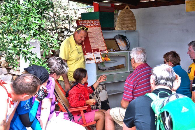 Give Bees a chance! - What Makes This Tour Stand Out  