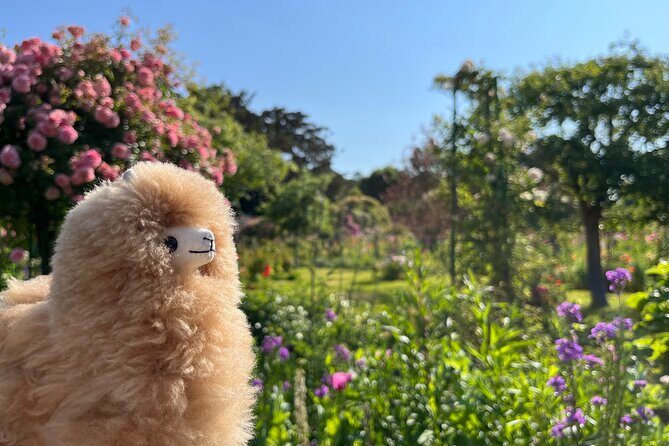 Giverny & Versailles Private Guided Tour with Ticket Entry - Who Would Love This Tour?