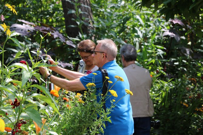 Givernys House & Gardens Plus Versailles Palace Day Trip With Lunch From Paris - Givernys Captivating Landscapes