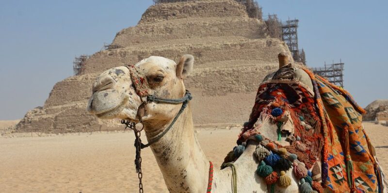 Giza/Cairo: Sakkara, Memphis and Dahshur Guided Tour - Important Information