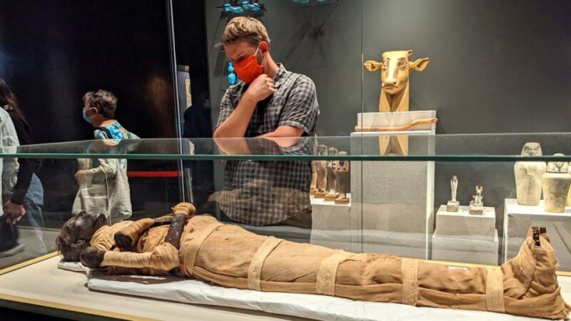 Giza Pyramids, Mummy Museum And Bazaar Private Day Tour - Discover the Mummies Museum