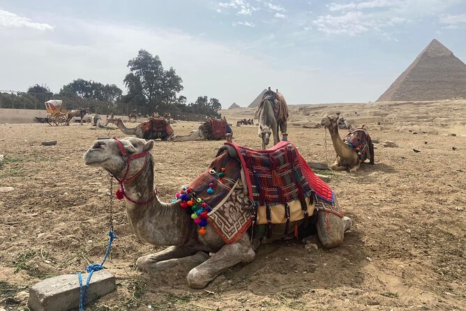 Giza Pyramids,Camel Ride ,Quad Bike,Shopping Tour, Dinner Cruise - Pickup and Cancellation