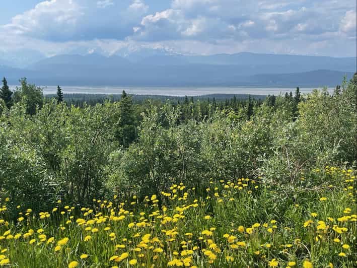 Glacial Lake, Waterfall and Rainforest. Beauty of Turnagain! - Key Points
