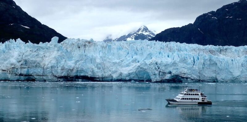 Glacier Bay: Glacier and Wildlife Catamaran Tour - Booking Information
