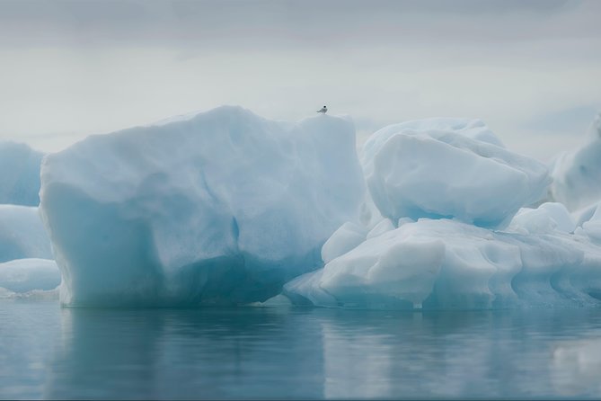 Glacier Lagoon and Diamond Beach Guided Day Trip From Reykjavik - Tour Logistics and Guidelines
