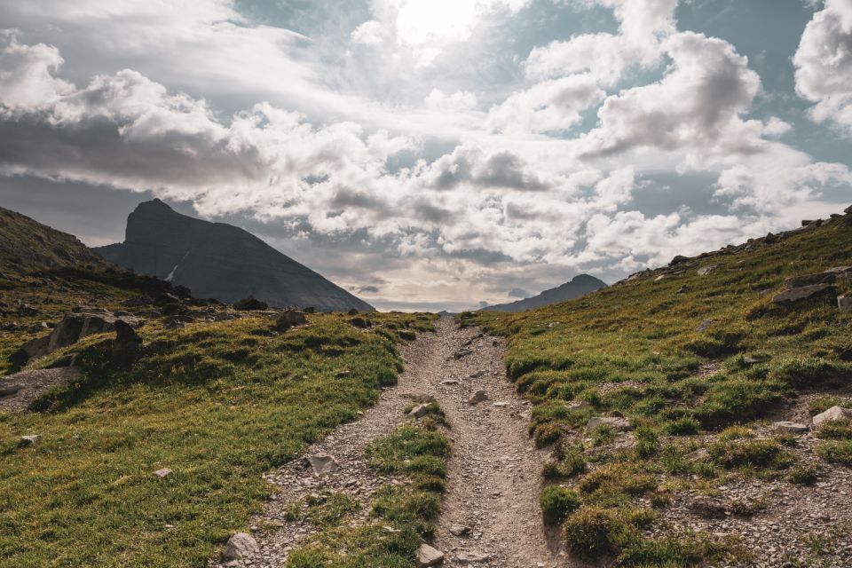 Glacier National Park: Self-Guided Driving Tour - Hiking Through Forests and Tundras