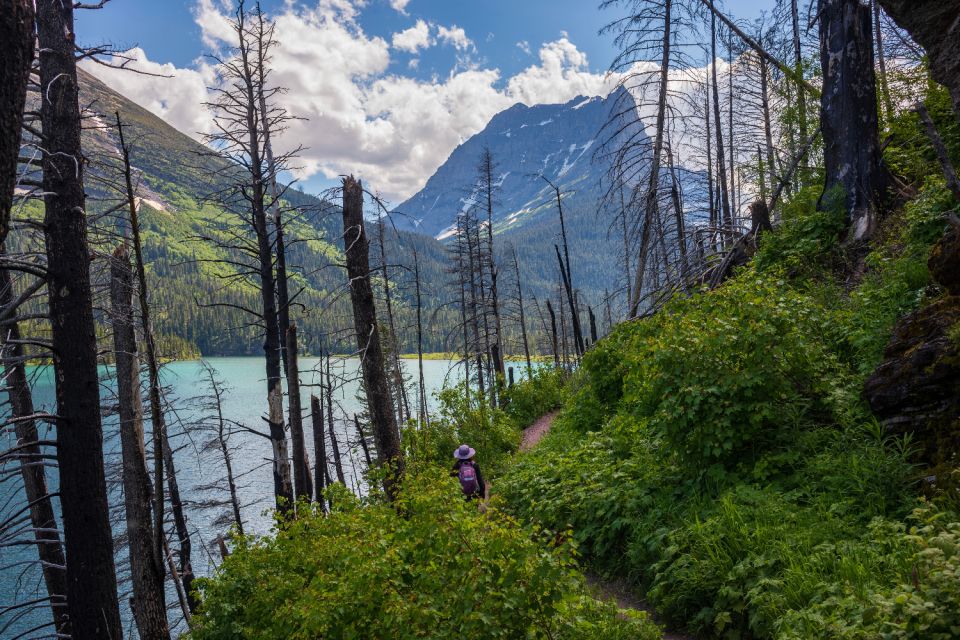 Glacier National Park: Self-Guided Driving Tour - Flexible and Personalized Experience