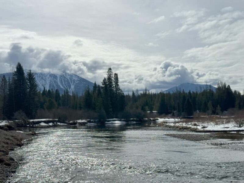 Glacier National Park: Winter Driving Tour with Lunch - The Guide and Overall Experience