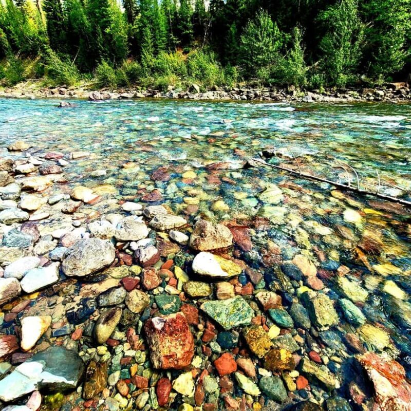 Glacier Park Privat Experience in Luxurious SUV Customizable - Final Thoughts