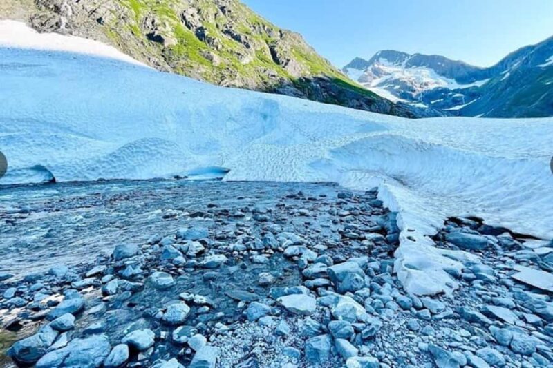 Glacier View & Wildlife Anchorage Adventure Tour - Authentic Reviews: What Travelers Say