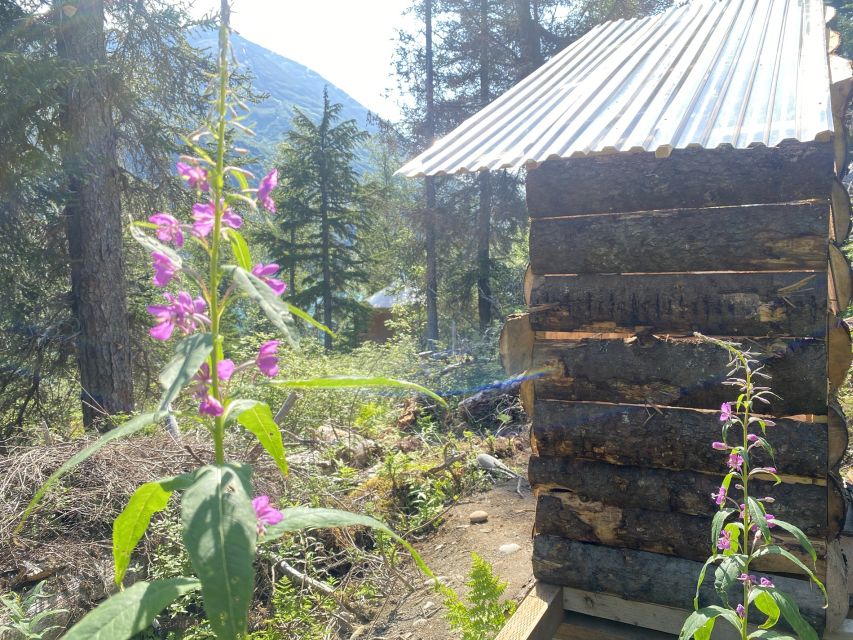 Glamping & Kayaking on Glacial Grant Lake in Wild Alaska - Frequently Asked Questions