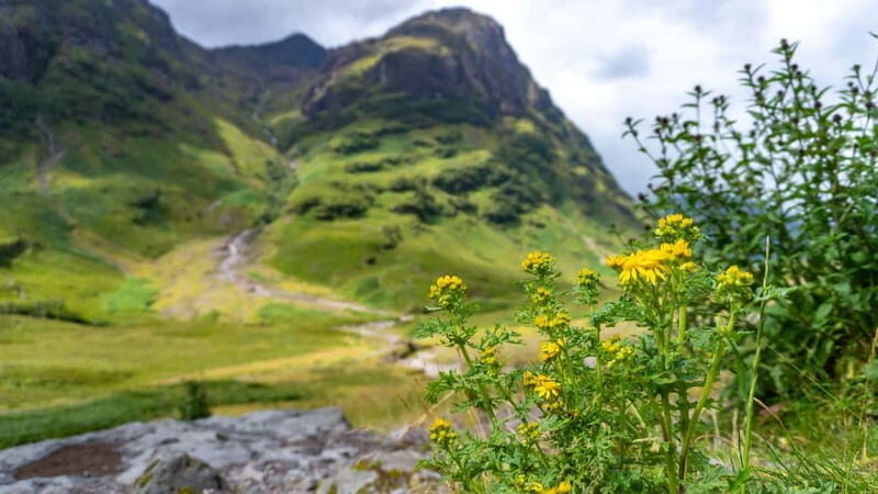 Glasgow: Mountains, Glens & The Loch Ness Monster Day Tour - The Legend of Loch Ness and Fort Augustus