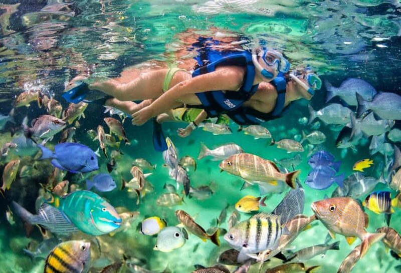 Glass Boat Adventure In Punta Cana - What You Can Expect from the Glass Boat Adventure