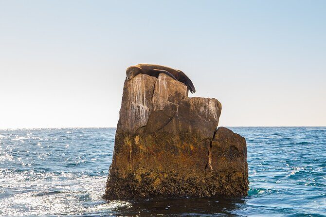 Glass Bottom Boat in Cabo San Lucas, free time in Playa del Amor - FAQ
