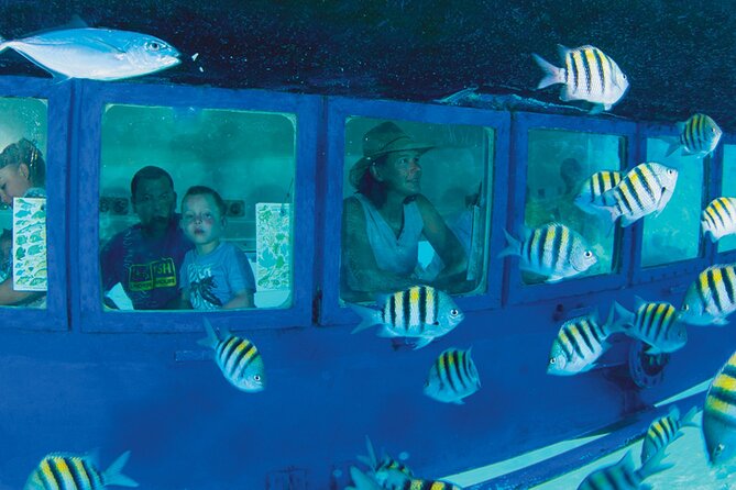 Glass Bottom Boat in Cancun - Customer Feedback and Recommendations