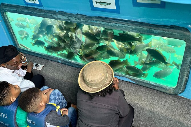 Glass Bottom Boat Ride in Redondo Beach - Educational Aspects