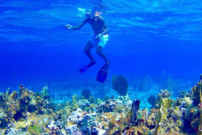 Glass Bottom Boat Ride/Snorkeling/Booby Cay Island from Negril - Introduction and Overall Impression