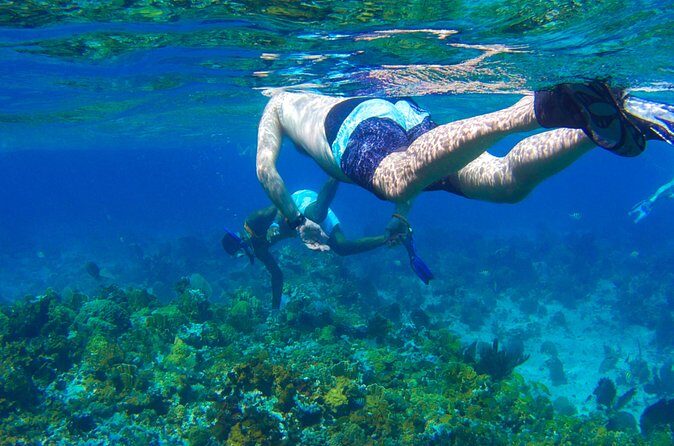 Glass Bottom Boat Ride/Snorkeling/Booby Cay Island from Negril - Practical Tips for Travelers