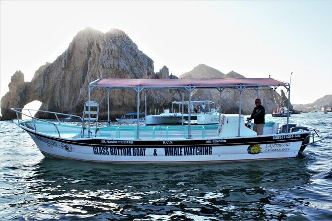 Glass Bottom Boat Sightseeing Tour in Cabo San Lucas - An In-Depth Look at the Glass Bottom Boat Tour in Cabo San Lucas