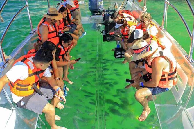 Glass Bottom Boat To the Famous Arch Of Cabo - Who Should Consider This Tour?