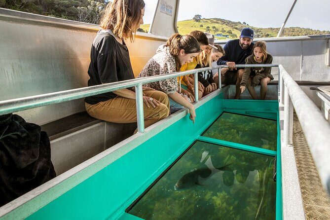 Glass Bottom Boat Tour - Who Is This Tour Best For?