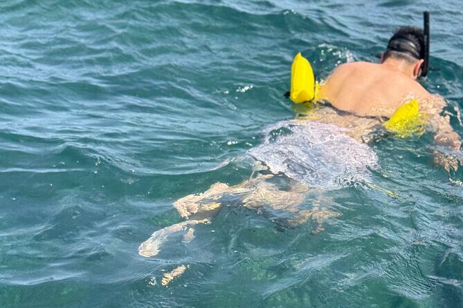 Glass bottom Boat Tour and Snorkeling Experience in Montego Bay - What to Expect from the Tour