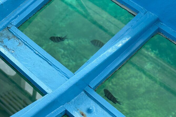 Glass bottom Boat Tour and Snorkeling Experience in Montego Bay - Reviews and Authentic Feedback