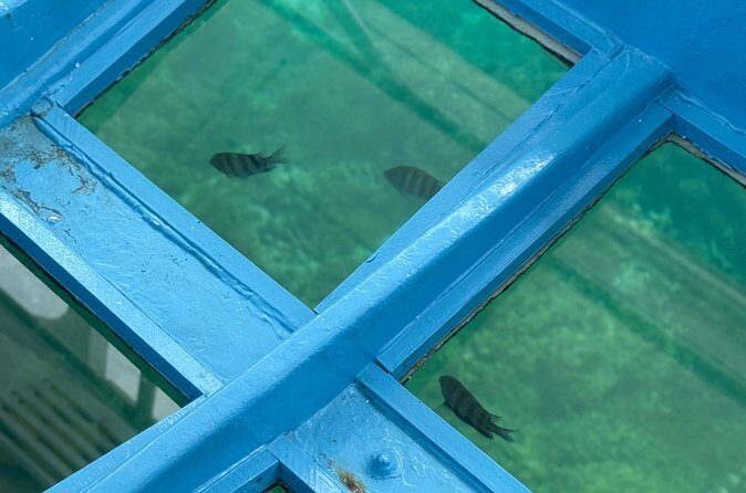 Glass bottom Boat Tour and Snorkeling Experience in Montego Bay - FAQ
