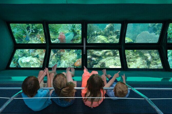 Glass-bottom boat tour to Punta Cana - Introduction: A Floating Window into Punta Cana’s Marine World
