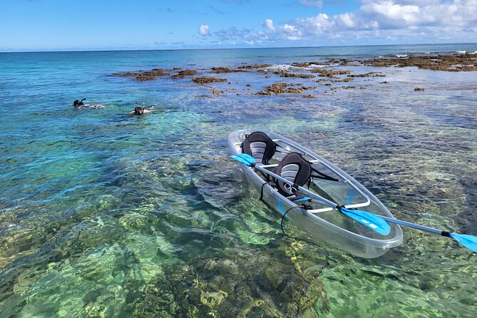 Glass Bottom Kayak - Guaranteed to See Turtles! - Good To Know