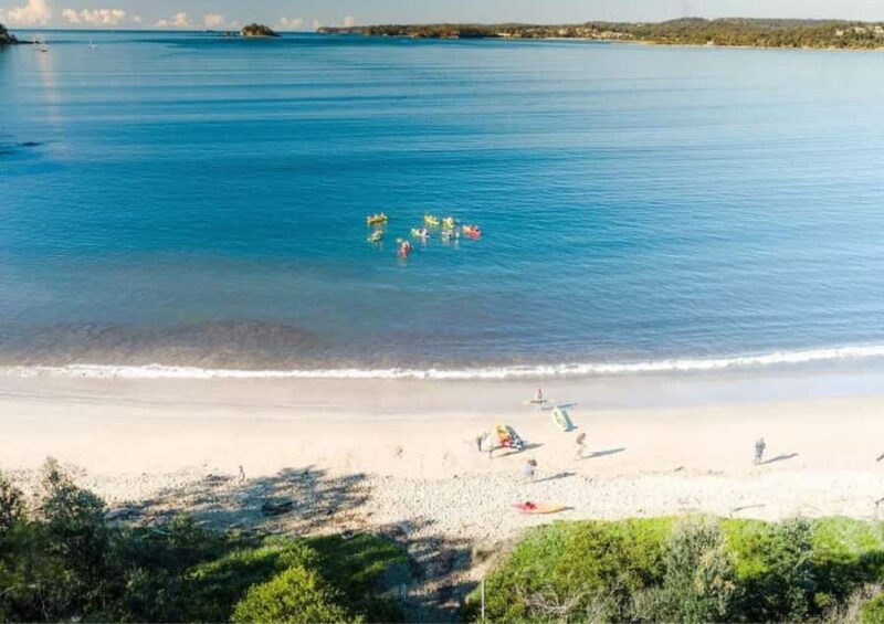 Glass Bottom Kayak Tour - Potential Drawbacks