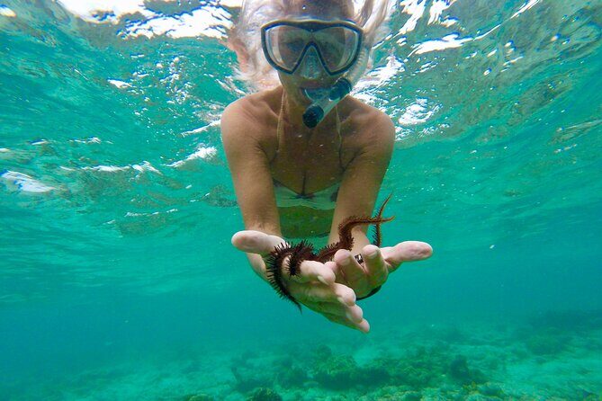 Glass Bottom Nylon Pool Tour in Buccoo Reef - FAQ: Your Practical Questions Answered