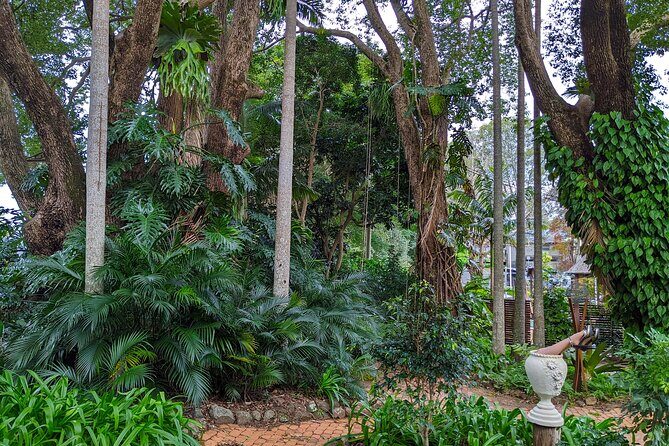 Glass House Mountains, Maleny and Montville Tour from Brisbane - An In-Depth Look at the Itinerary