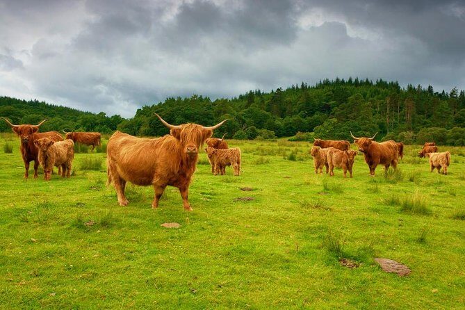 Glencoe & Glenfinnan Private Day Tour with Scottish Local - The Charming Village of Luss