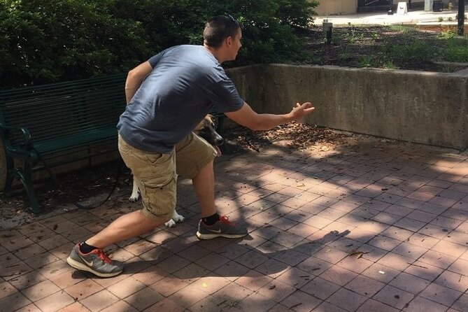 Glendale Scavenger Hunt by Zombie Scavengers - How to Get Started
