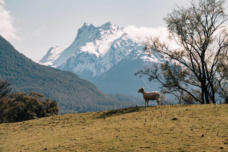 Glenorchy Half-Day 4WD Lord Of the Rings Tour - Activity Description