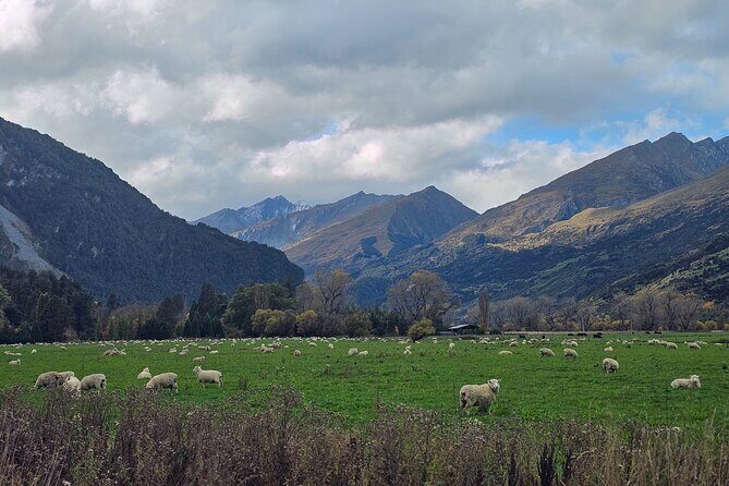 Glenorchy Private Day Trip from Queenstown: TravelnGo - Final Thoughts