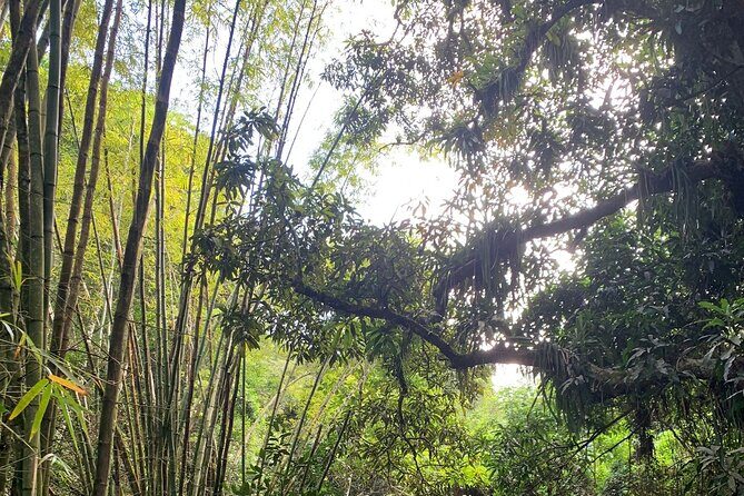 Glide into adventure: Hiking and natural slides - Who should book this tour?