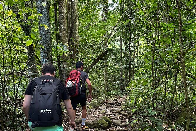 Glide into adventure: Hiking and natural slides - The Sum Up