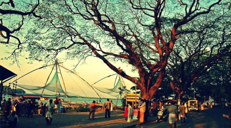 Glimpse of Cochin: Guided Tour - Customer Feedback and Ratings